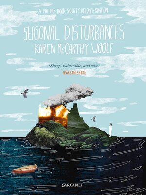 cover image of Seasonal Disturbances